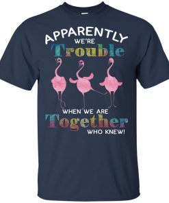Flamingo apparently we’re trouble when we’re together who knew t shirt, tank, long sleeve