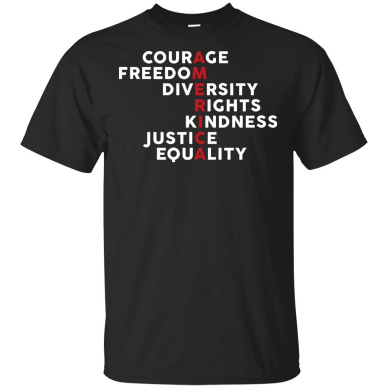 America – courage freedom diversity rights kindness justice equality shirt