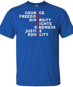 America – courage freedom diversity rights kindness justice equality shirt