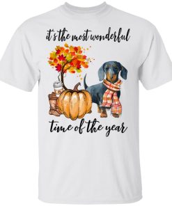 Dachshund pumpkin It’s the most wonderful time of the year hoodie, sweatshirt, t shirt