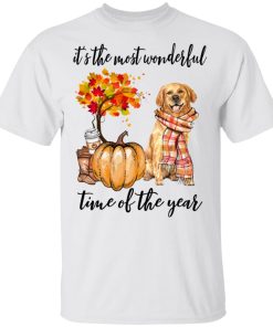 Golden Retriever pumpkin It’s the most wonderful time of the year hoodie, sweatshirt, t shirt