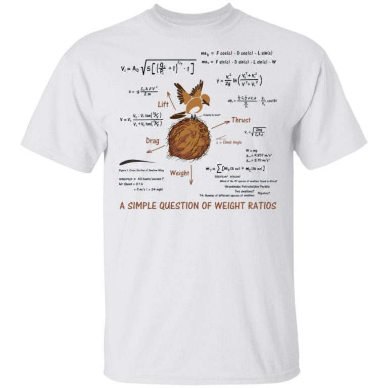 A simple question of weight ratios hoodie, sweatshirt, t shirt