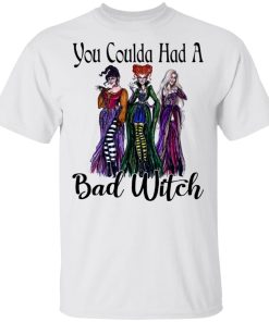 Hocus Pocus you coulda had a bad witch hoodie, ls, t shirt