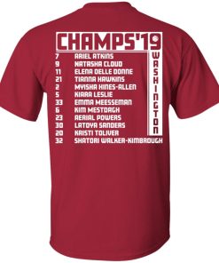 Washington Mystics 2019 WNBA champion shirt Washington Mystics 2019 WNBA champion shirt