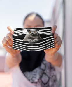 British Shorthair Face Mask