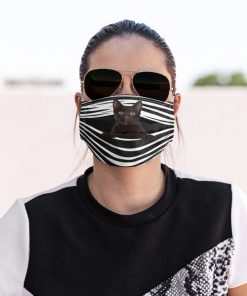 Havana Brown Cat Face Mask