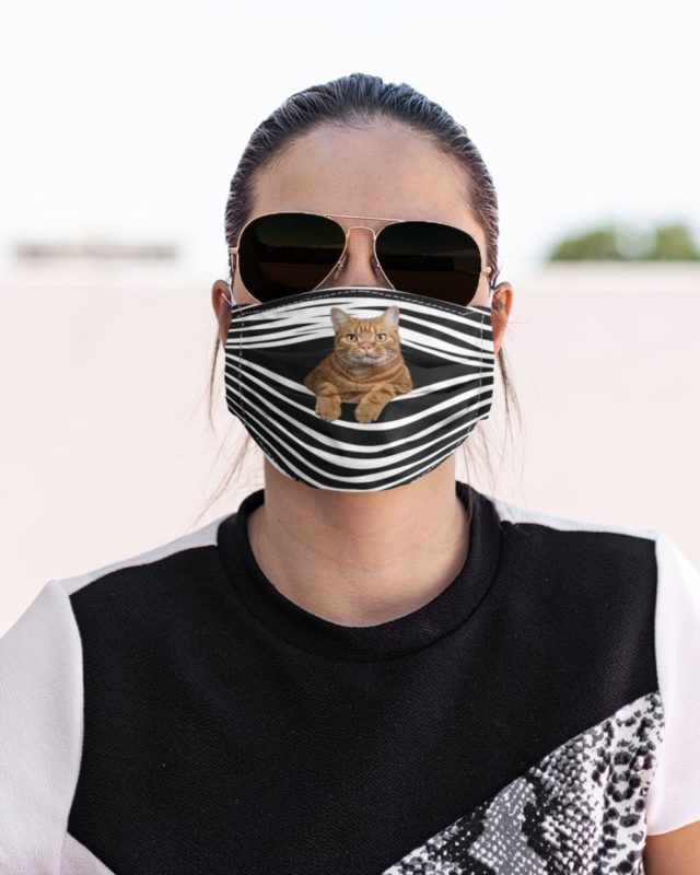 American Shorthair Cat Face Mask