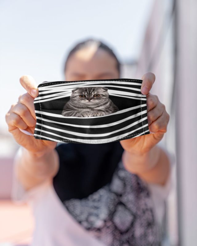 Scottish Fold Cat Face Mask