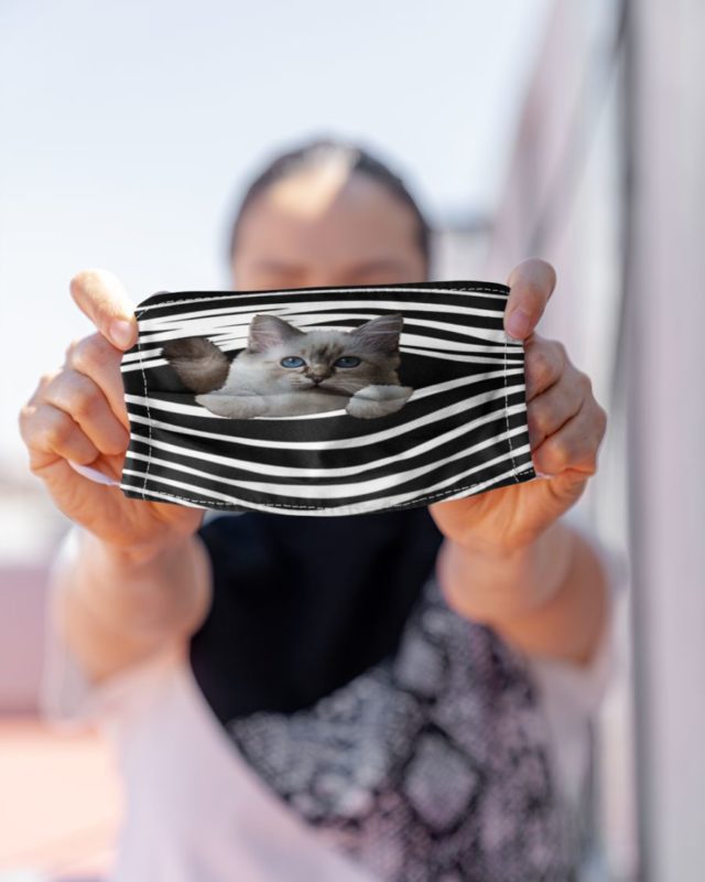 Birman Cat Stripes Face Mask