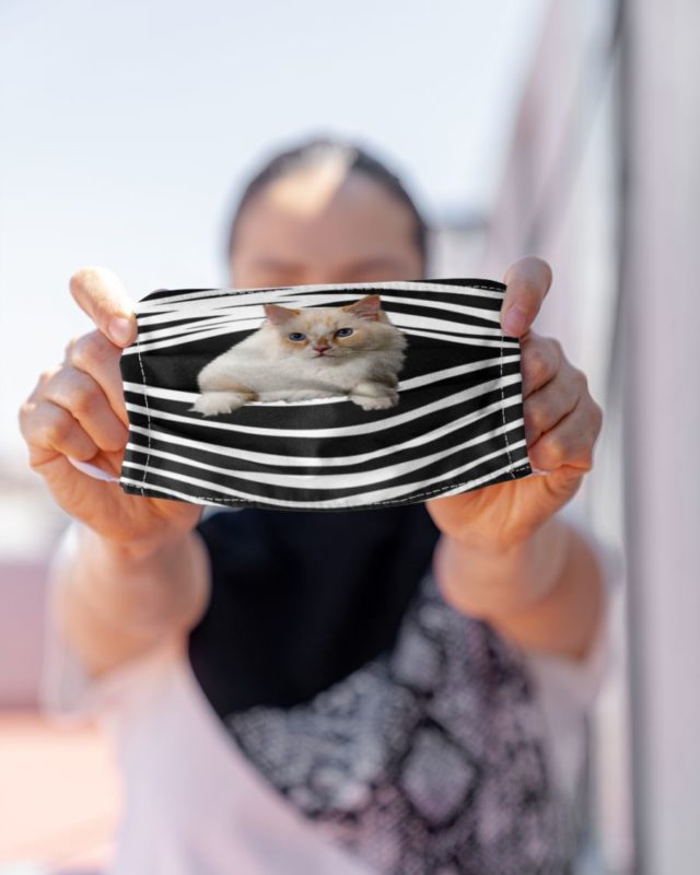 Ragamuffin Cat Face Mask