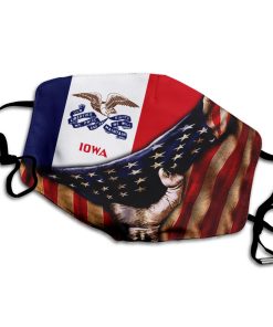 Iowa State PM2.5 Filter Face Mask