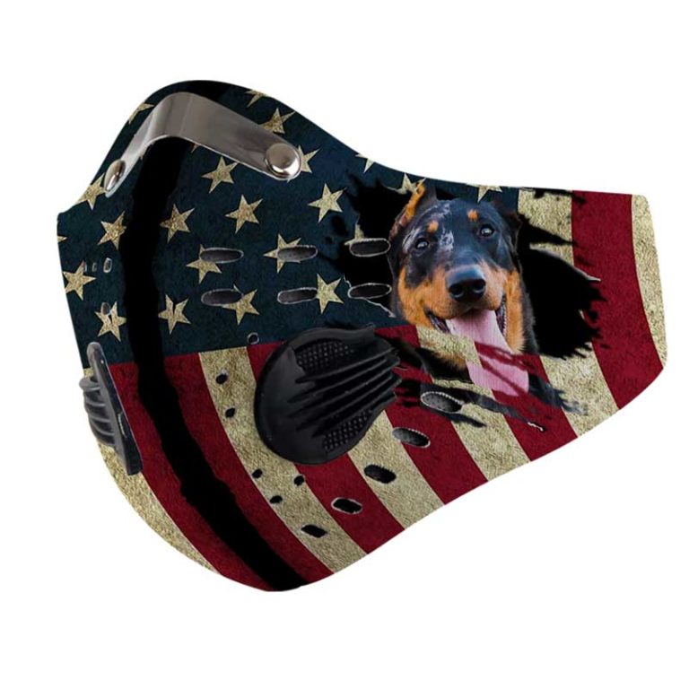 Beauceron Dog N95 Filter Face Mask