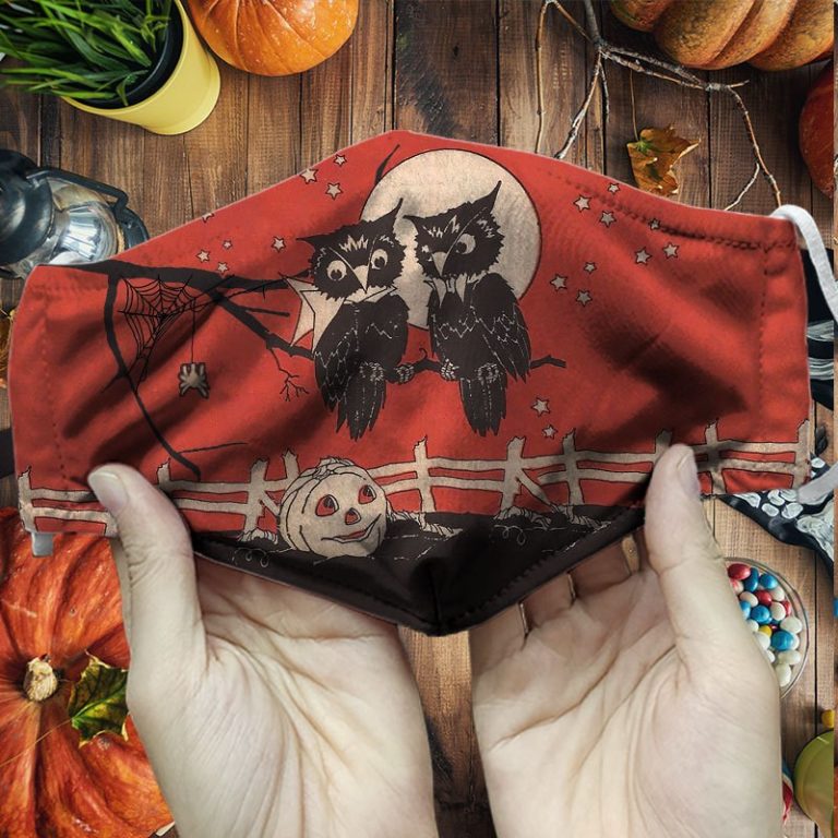 Halloween Black Owl Pumpkin PM2.5 Filter Face Mask