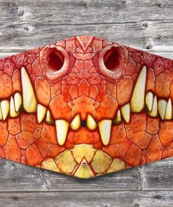Loves Dragon 3D Face Mask with PM2.5 Filter