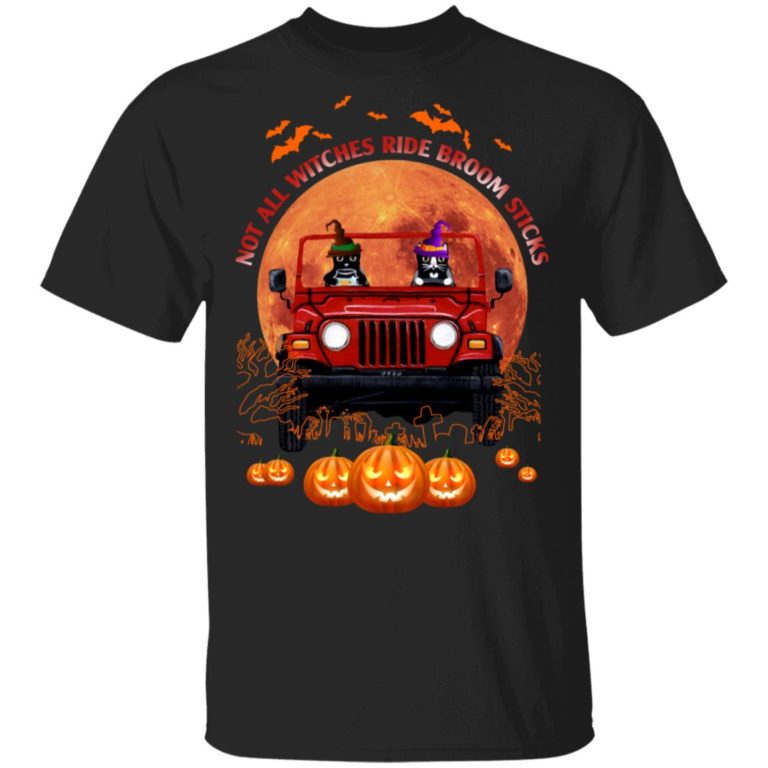 Cat Halloween Not All Witches Ride Broomsticks