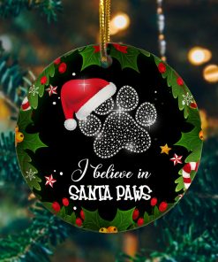 I Believe in Santa Paws Funny Christmas Cat Flat Holiday Circle Ornament