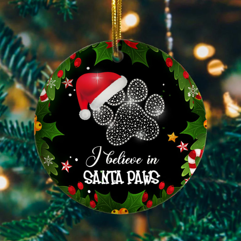 I Believe in Santa Paws Funny Christmas Cat Flat Holiday Circle Ornament