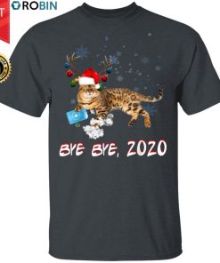 Ashera Cat Bye Bye 2020 Christmas New Year T-Shirt, Long Sleeve