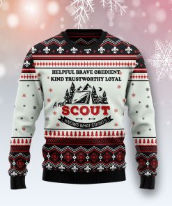 Scout Knows What Counts Christmas Wool Sweater