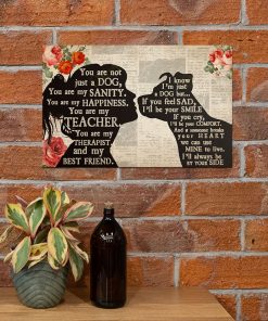 Pitbull You Are My Sanity My Happiness My Best Friend Wall Art – Poster – Canvas