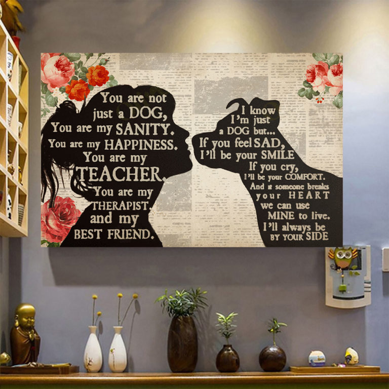 Pitbull You Are My Sanity My Happiness My Best Friend Wall Art – Poster – Canvas