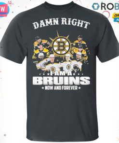 Damn Right I Am A Boston Bruins Now And Forever T-shirt – Hoodie – Ls Damn Right I Am A Boston Bruins Now And Forever T-shirt – Hoodie – Ls