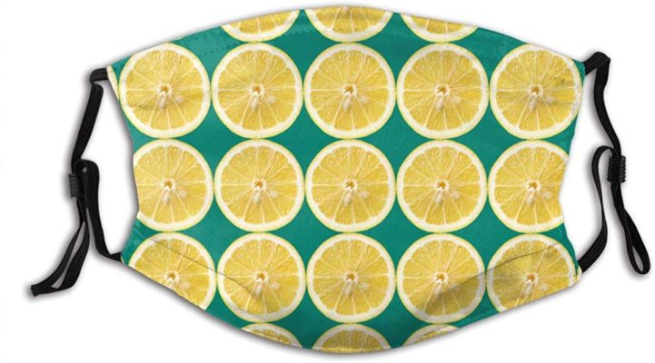 Lemon Face Mask With PM2.5 Filter Sheet