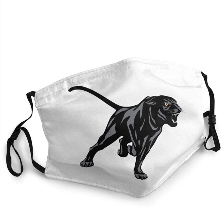 Prairie View A&m Panthers And Lady Panthers Face Mask With PM2.5 Filter Sheet