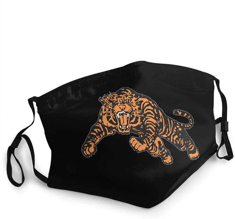 Princeton Tigers Football Face Mask With PM2.5 Filter Sheet
