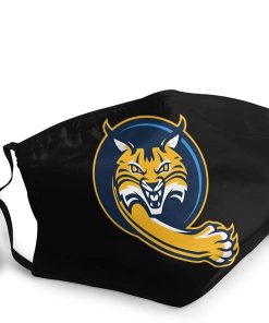 Quinnipiac Bobcats Women’s Basketball  Face Mask With PM2.5 Filter Sheet