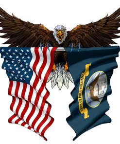 Bald Eagle US Navy Flag Metal Sign Bald Eagle US Navy Flag Metal Sign