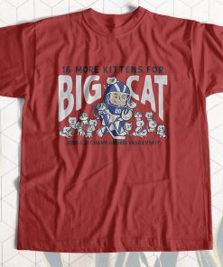 Tampa Bay 16 More Kittens For Big Cat T-Shirt