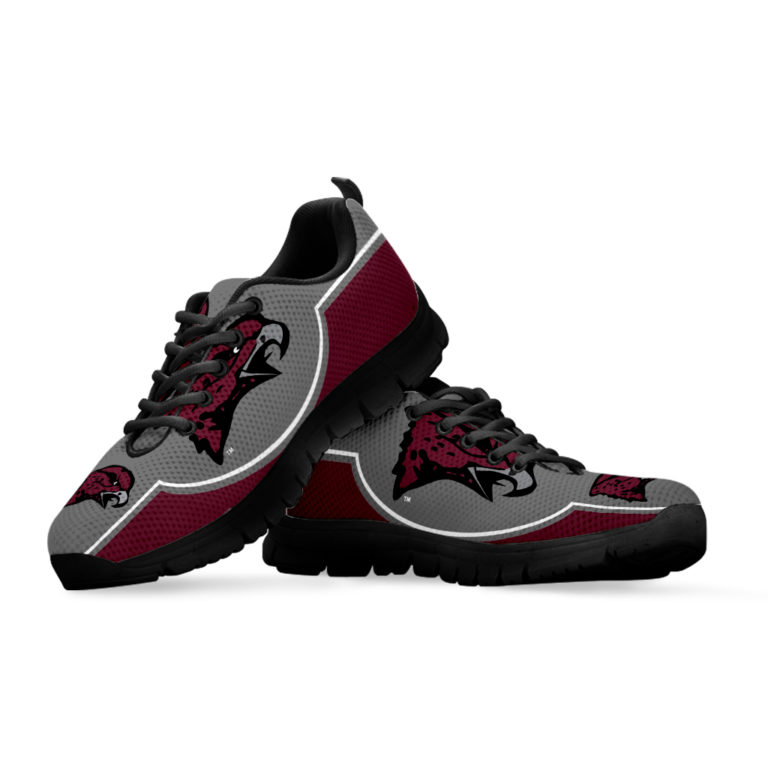 NCAA Maryland Eastern Shore Hawks Breathable Running Shoes