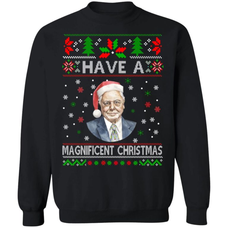 Have a Magnificent Christmas sweatshirt