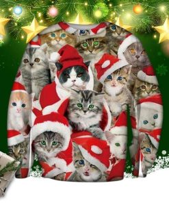 Adorable Cat With Red Hat Ugly Christmas Sweater