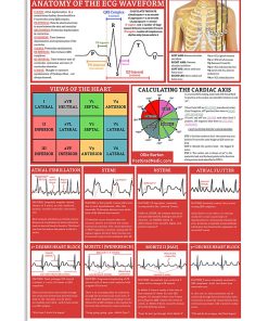 Anatomy Of The ECG Waveform Cardiologist Poster, Canvas