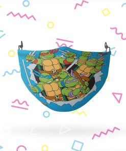 Teenage Mutant Ninja Turtles Surprise Face Mask with PM2.5 Filter