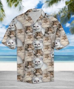Persian Cat Hawaiian Shirt