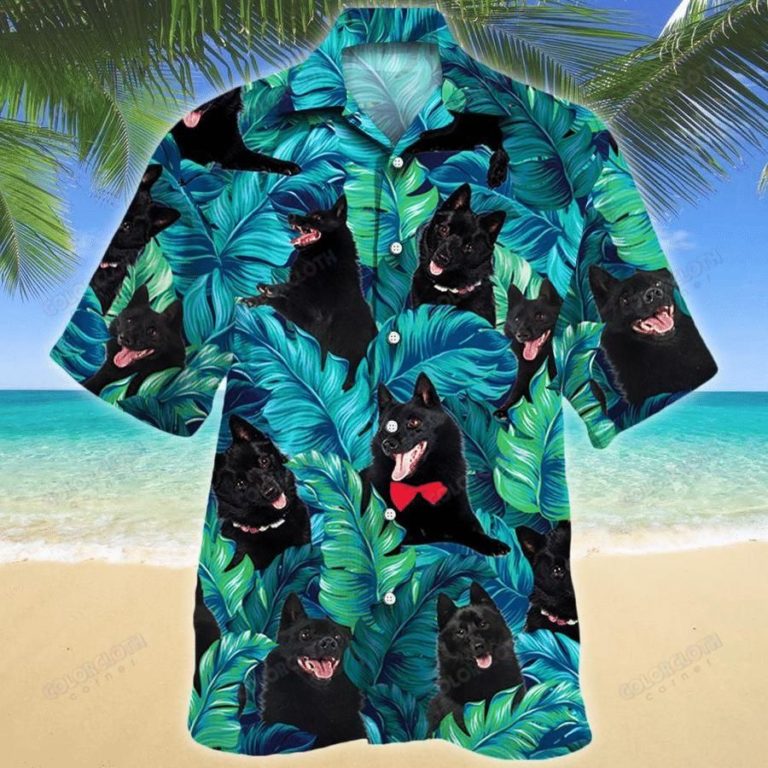 Schipperke Dog Lovers Short Sleeve Button Up