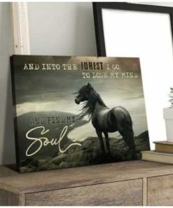 Find My Soul Horse Wall Art Decor Find My Soul Horse Wall Art Decor