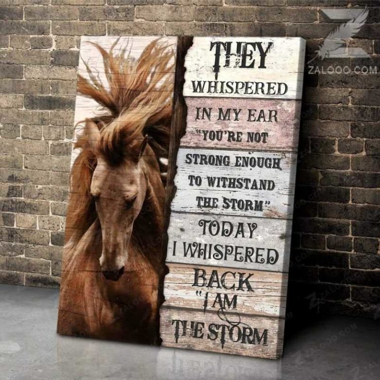 I Am The Storm Horse Canvas & Poster