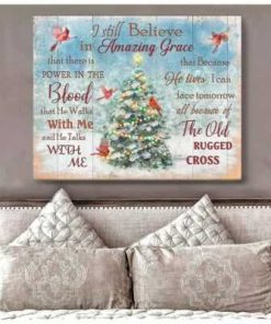 I Still Believe In Amazing Grace Cardinal Poster and Canvas