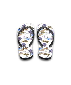 the beach boys flip flop