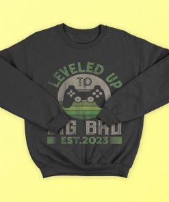 I Leveled Up To Big Brother Est 2023 Promoted To Big Bro T-Shirt, Hoodies