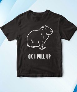 Ok I Pull Up Capybara T-Shirt, Hoodie