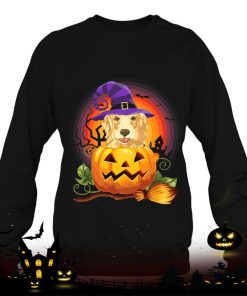 golden labrador witch pumpkin halloween dog lover costume shirt 719 pNOEW