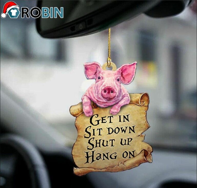 Pig Get In Sit Down Shut Up Hang On Ornament – Christmas Decorations
