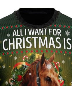Horse All I Need For Christmas Ugly Sweatshirt, Sweater