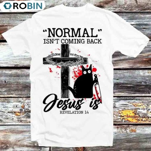 Black Cat Normal Isnt Coming Back Jesus Is Shirt, Halloween Hoodie Sweatshirt