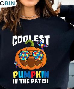 Coolest Pumpkin In The Patch Shirt, Autism Awareness Unisex Hoodie Sweatshirt Coolest Pumpkin In The Patch Shirt, Autism Awareness Unisex Hoodie Sweatshirt